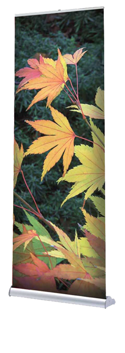 Chicago Retractable Banner Stand, Gamma