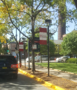 Gamma installed pole banners last week at the University of Chicago Medical Center.